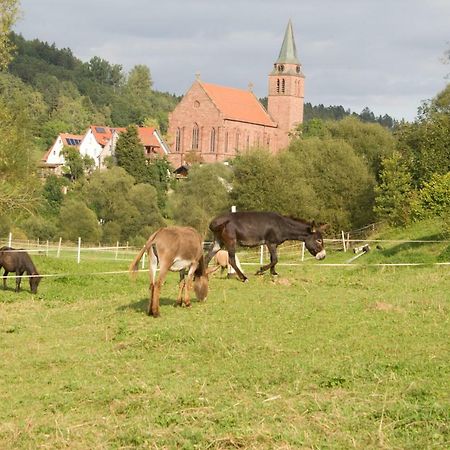 Ferienwohnung Spreter Zimmern ob Rottweil Экстерьер фото