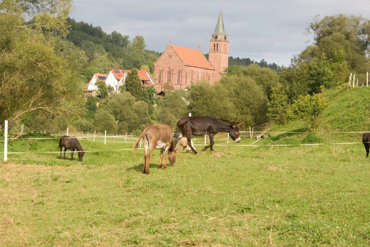 Ferienwohnung Spreter Zimmern ob Rottweil Экстерьер фото